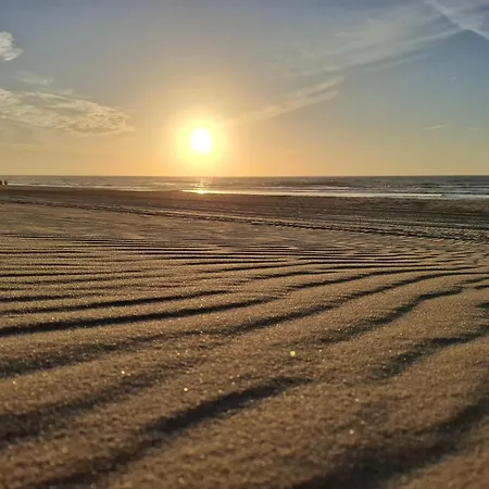Soulsafari Aan Zee