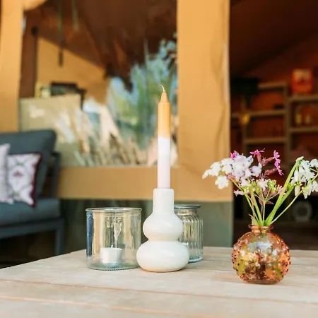 Soulsafari Aan Zee ユリアーナドルプ