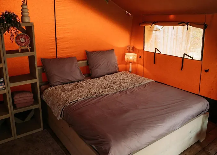 Soulsafari Aan Zee * Julianadorp